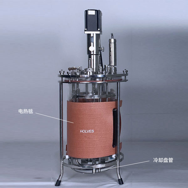 350vip浦京集团(XPJ.COM 350VIP)实验发酵罐 350vip浦京集团(XPJ.COM 350VIP)实验发酵罐