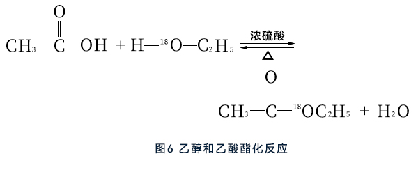 乙醇和乙酸酯化反应 乙醇和乙酸酯化反应